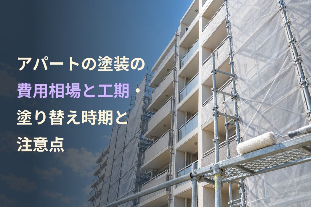 画像4278
